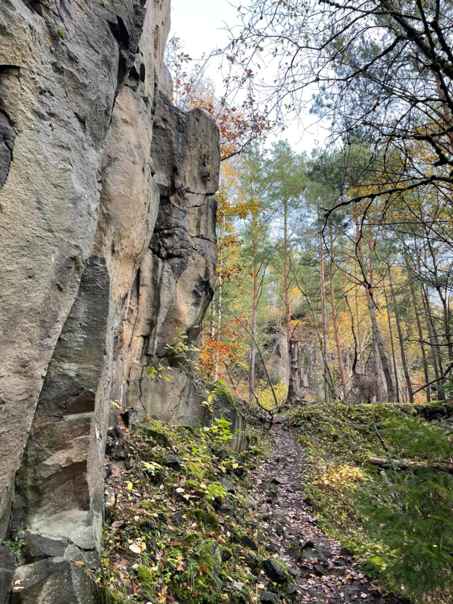 Fewo-Elzerhof Mendig Esterno foto